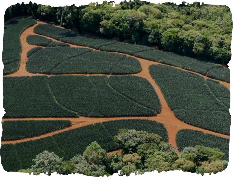 sustainability-image copy