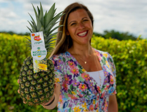 ¡Descubre “La Original”, la nueva piña verde con corazón de oro!